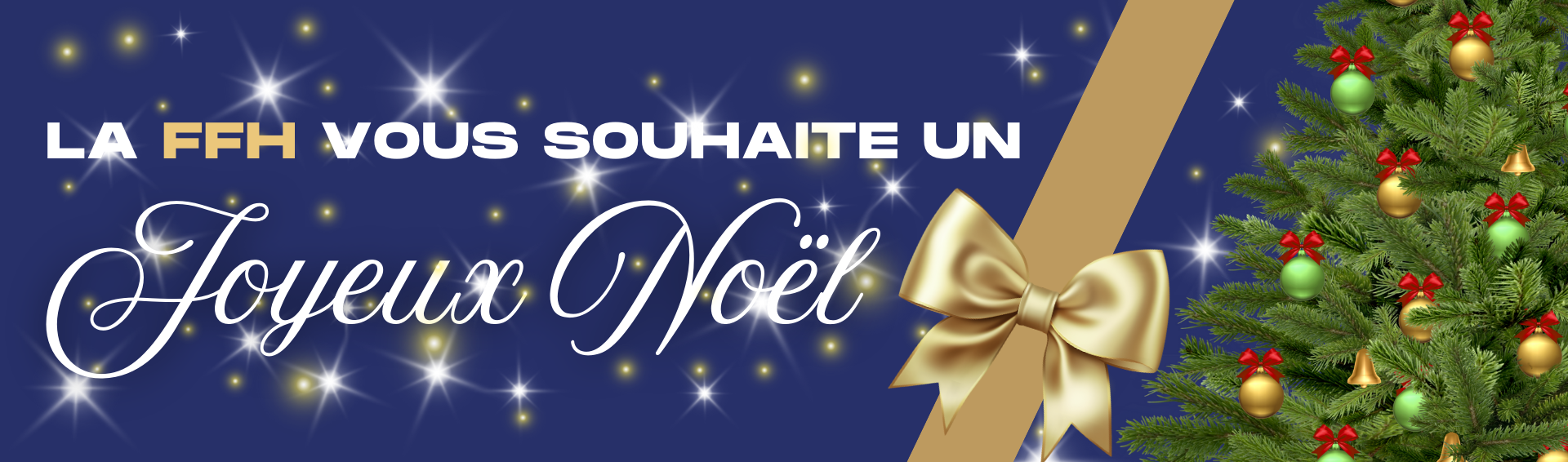 Bannière site internet 