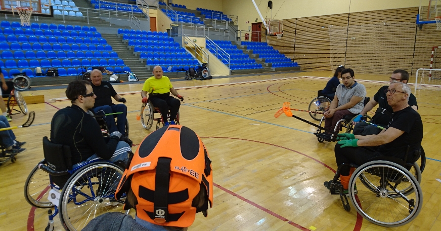 Regroupement Handi Hockey