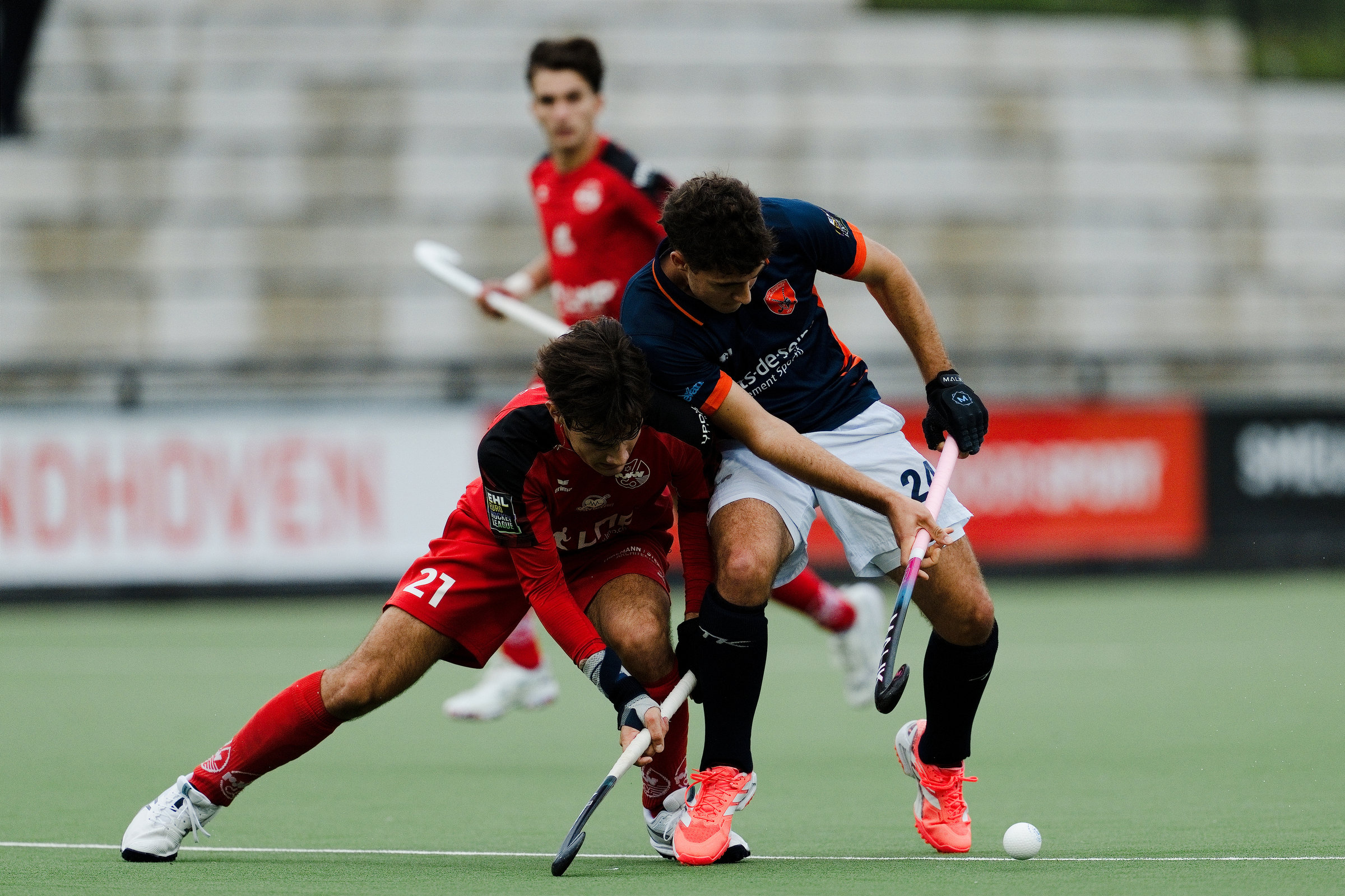 EHLCAMPT22026.jpg