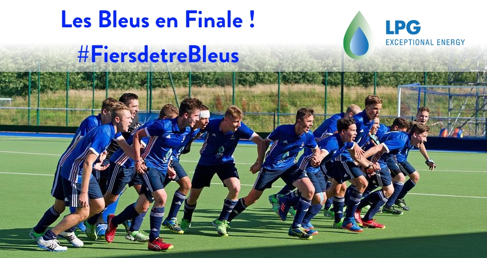 Les Bleus en Finale