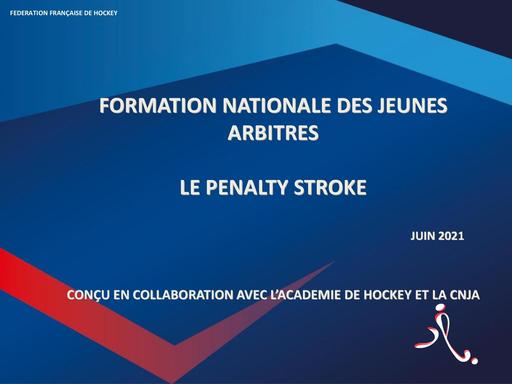 BAO16.penalty stroke.pdf