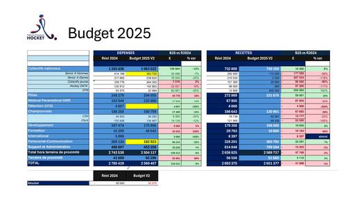 Budget 2025.pdf