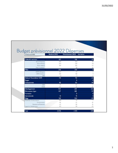 Pdf budget 2022